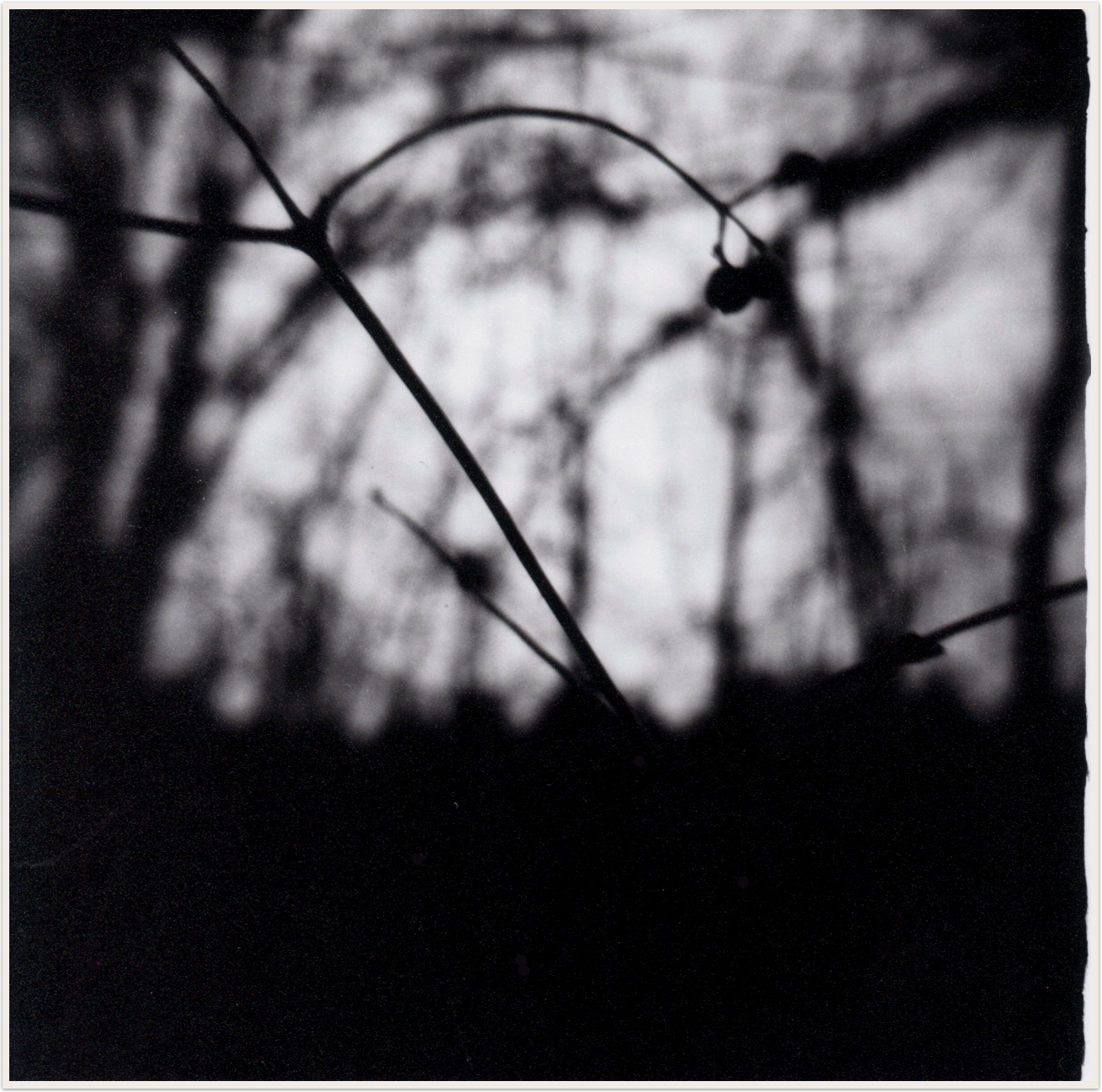 07_adams